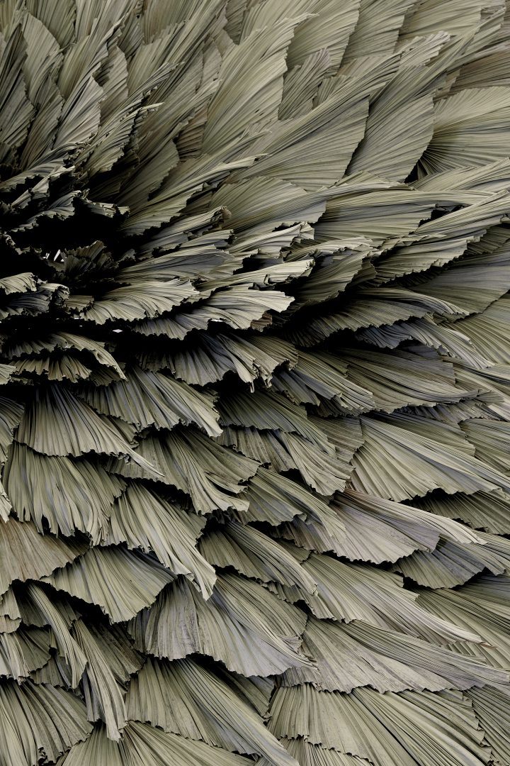 "Proximity" by Loose Leaf @ Melbourne