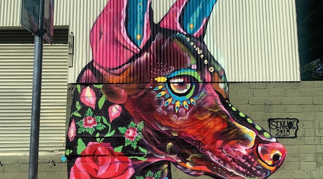 Senkoe @ Sacramento, USA