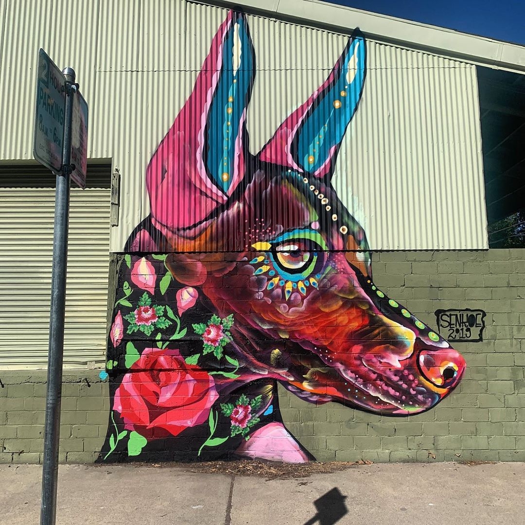 Senkoe @ Sacramento, USA