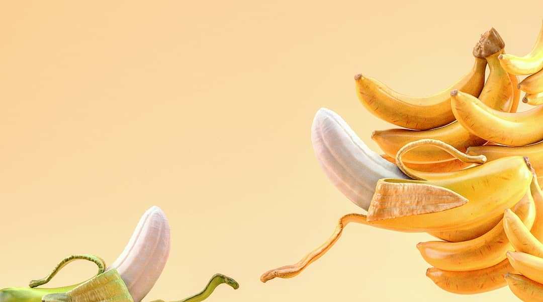 The creation of Banana by Farid Ghanbari