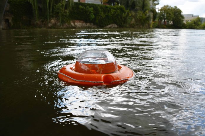 Biancoshock, HORIZONS, Ulm, 2017