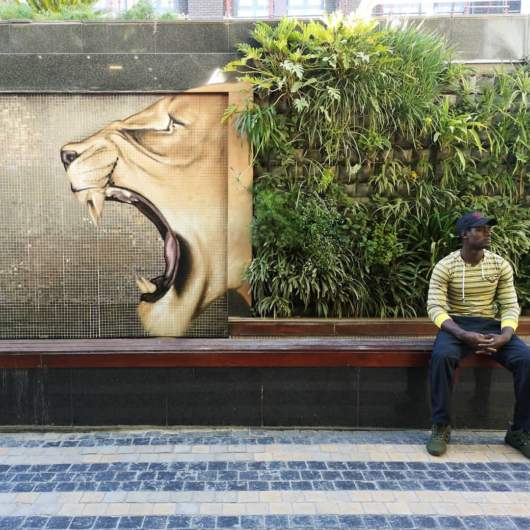 Falko one @ Johannesburg, South Africa