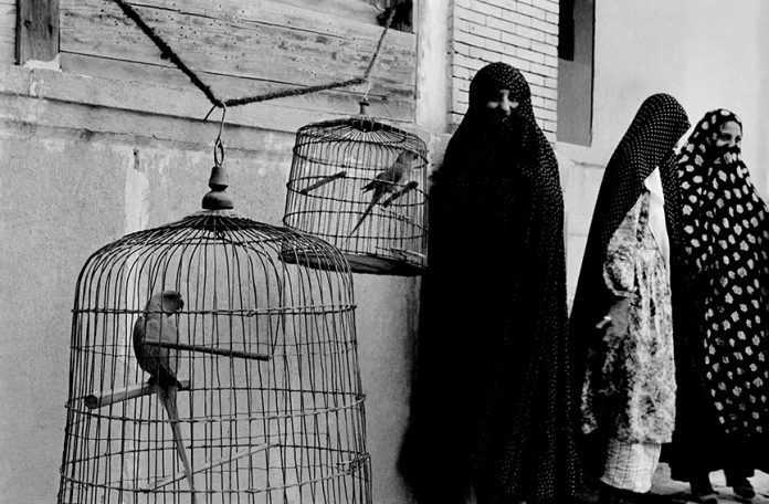 Inge Morath - Iran. Shiraz. 1956. Veiled Muslim women and caged cockatoos (wives of one man)