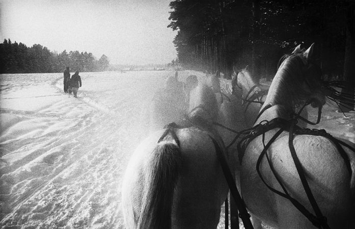 Inge Morath - USSR. Piatnika. Five horse sleigh on a stud farm 40 miles west of Moscow. 1965