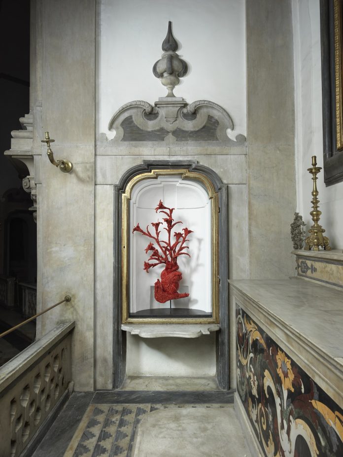 Jan Fabre @ Pio Monte della Misericordia, Napoli