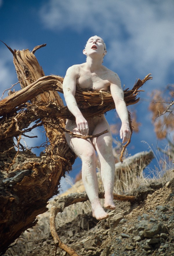 Jill Orr, Bleeding Tree, 1979
11 photos
60 x 76cm (framed, each), courtesy l’artista e PAC Milano