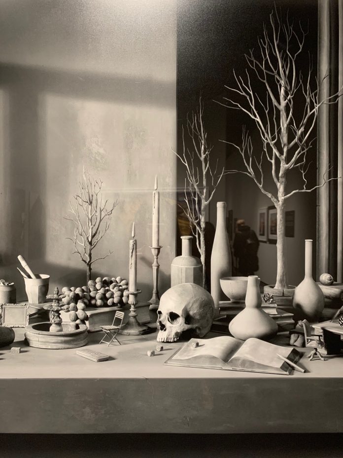 Natura in posa @ Museo di Santa Caterina, Treviso