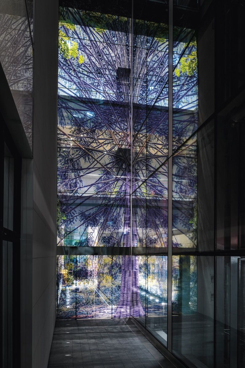 Sabine Hornig, Shadows, 2019. Photo by Mark Pokorny. © Sabine Hornig und VG-Bild Kunst, Germany. Courtesy Tanya Bonakdar Gallery, New York.