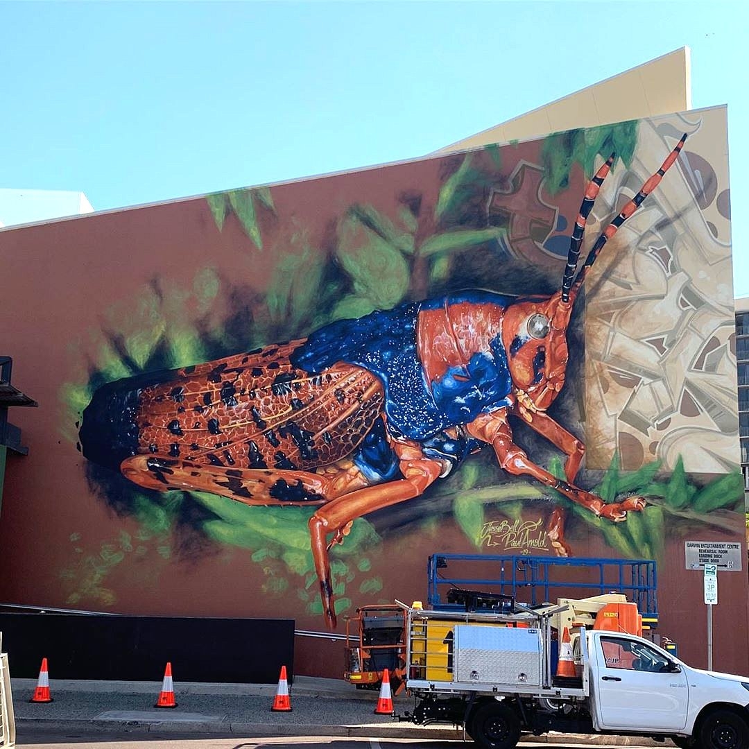 Tikls @ Darwin, Australia