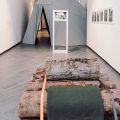 Tree Time, 2019, veduta della mostra presso il Museomontagna