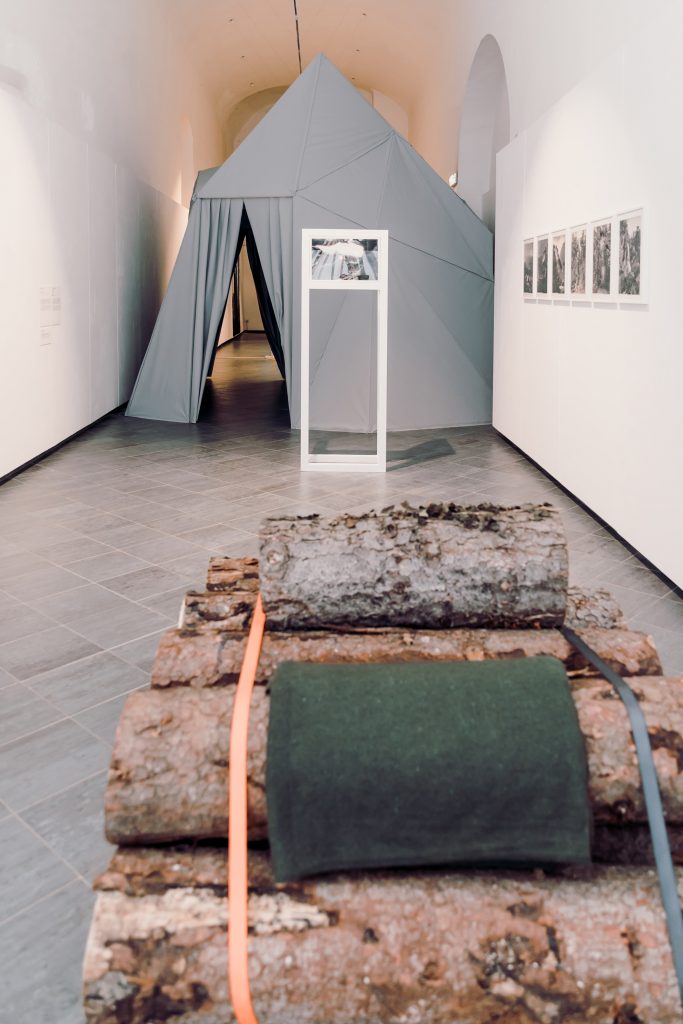 Tree Time, 2019, veduta della mostra presso il Museomontagna