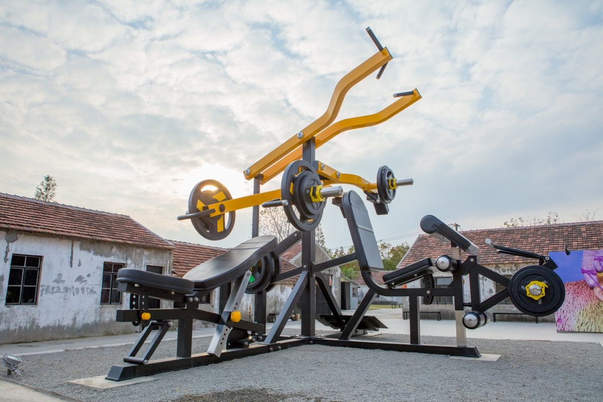 Xu Zhen®, Evolution-Multi-functional trainer, 2019. Courtesy of Xu Zhen® and James Cohan Gallery, New York