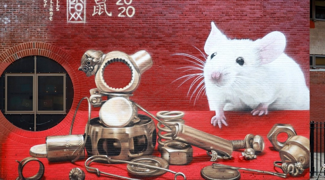 BKFoxx @ New York, USA