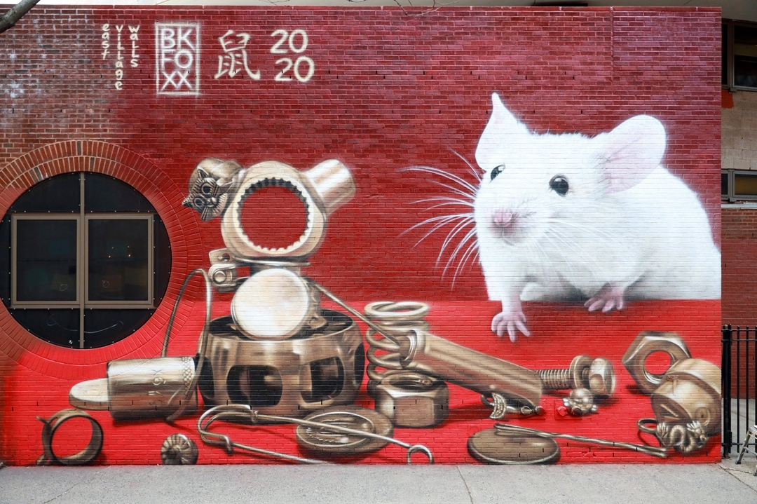 BKFoxx @ New York, USA