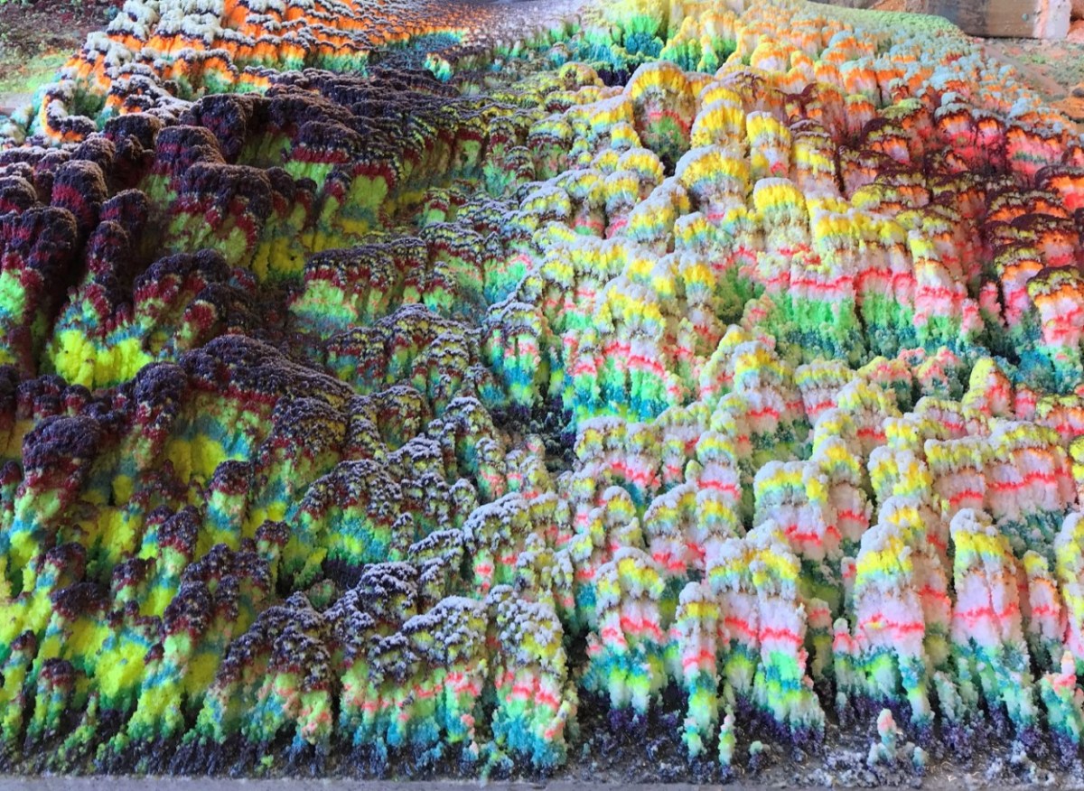 Dylan Gebbia-Richards