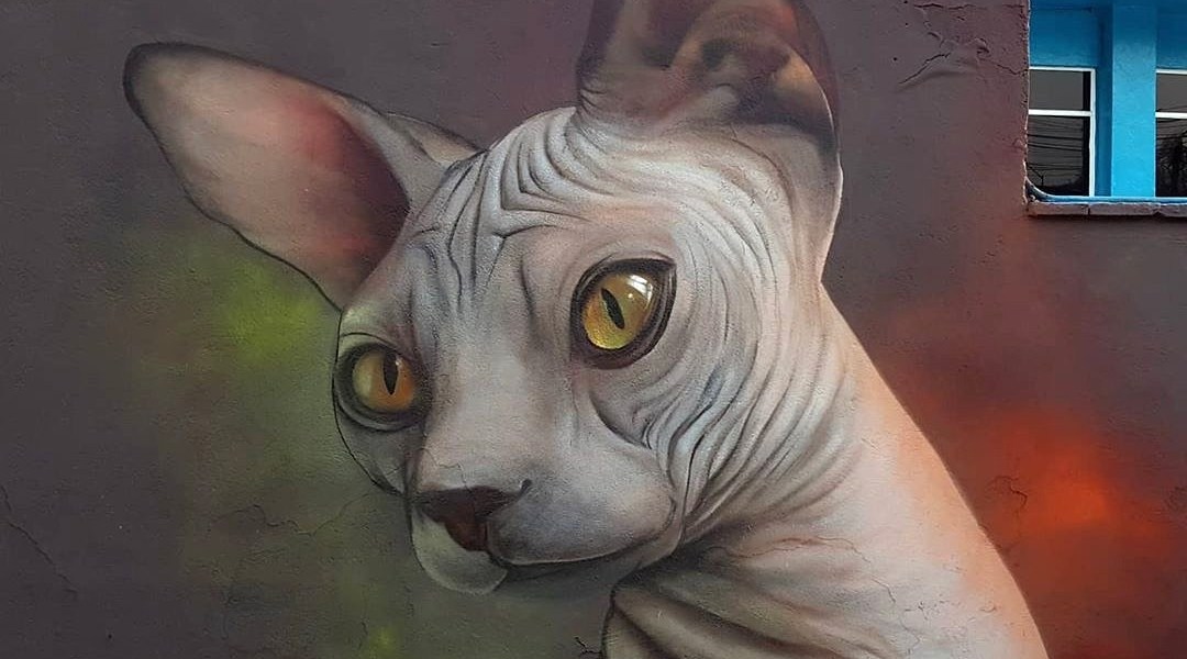 Facte @ Cuernavaca, Mexico