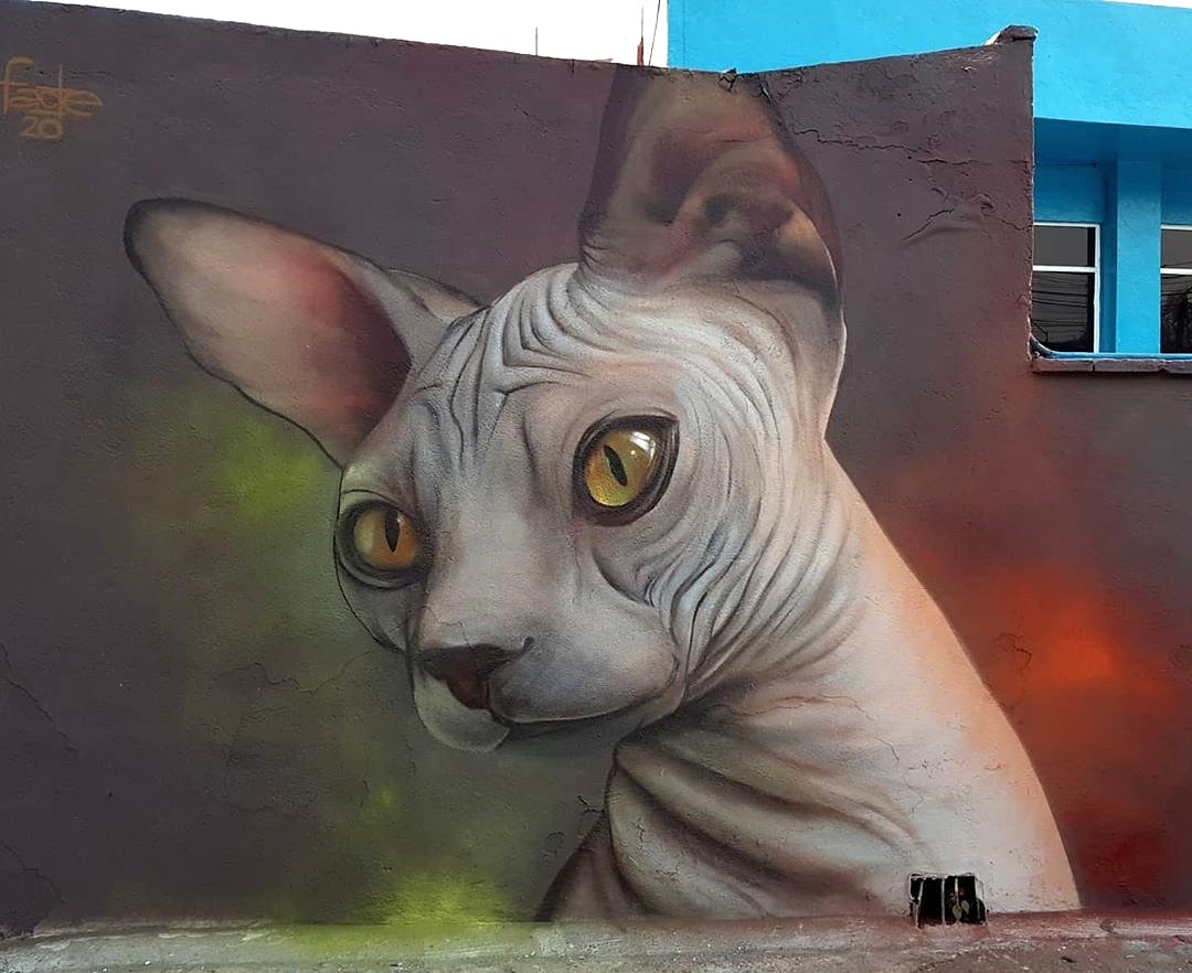 Facte @ Cuernavaca, Mexico