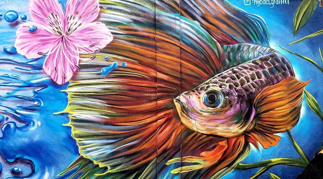 Hijo Del Graffiti @Calama, Chile