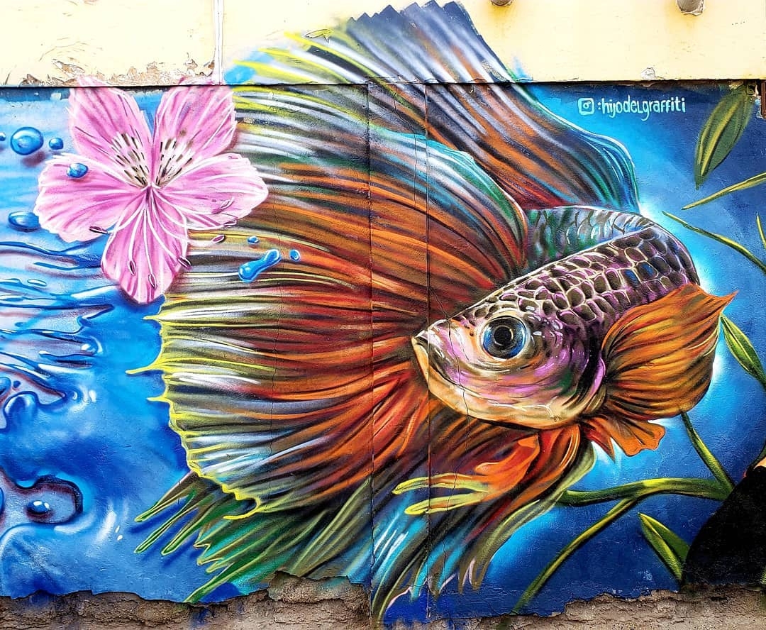 Hijo Del Graffiti @Calama, Chile