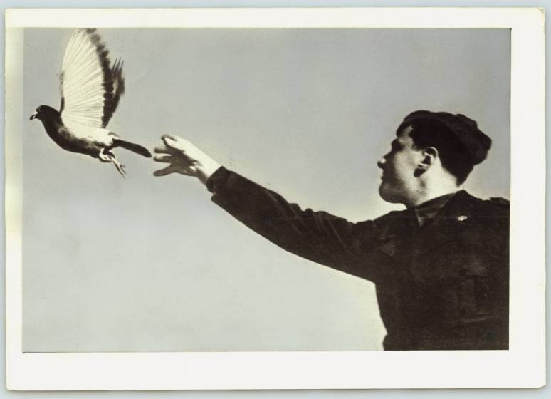 Lancio di un colombo viaggiatore, 1946, courtesy Touring Club Italian