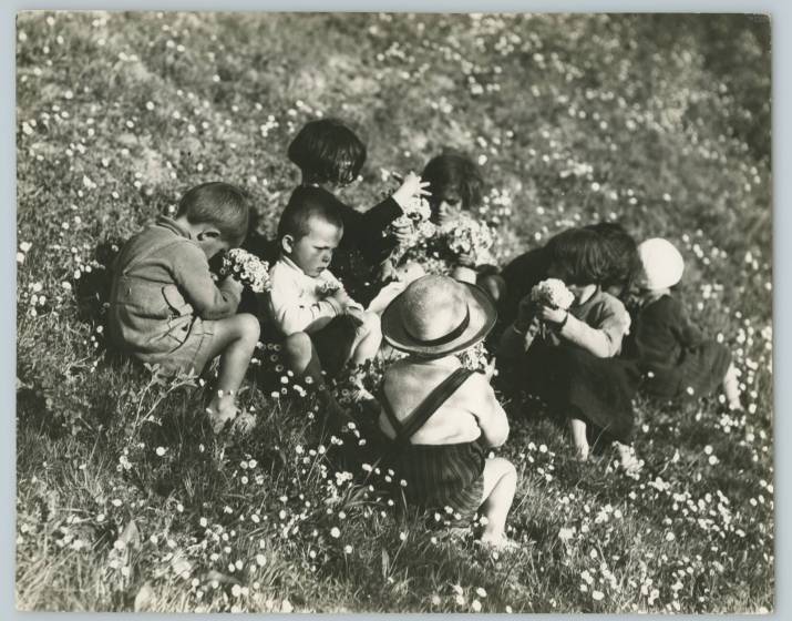 Raccolta dei fiori nella campagna di Cremona, 1953, courtesy Touring Club Italiano