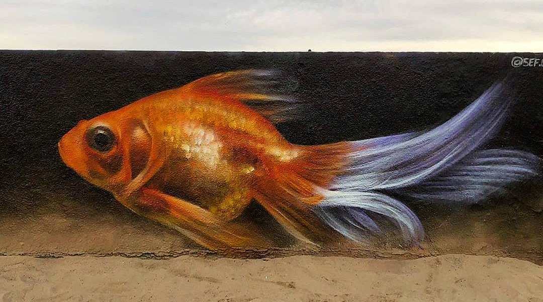 Sef @ Venice Beach, Los Angeles, USA