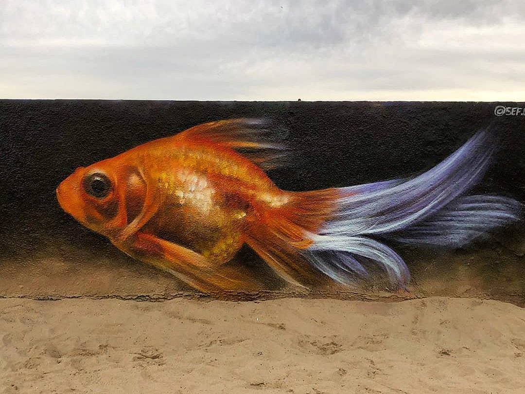 Sef @ Venice Beach, Los Angeles, USA