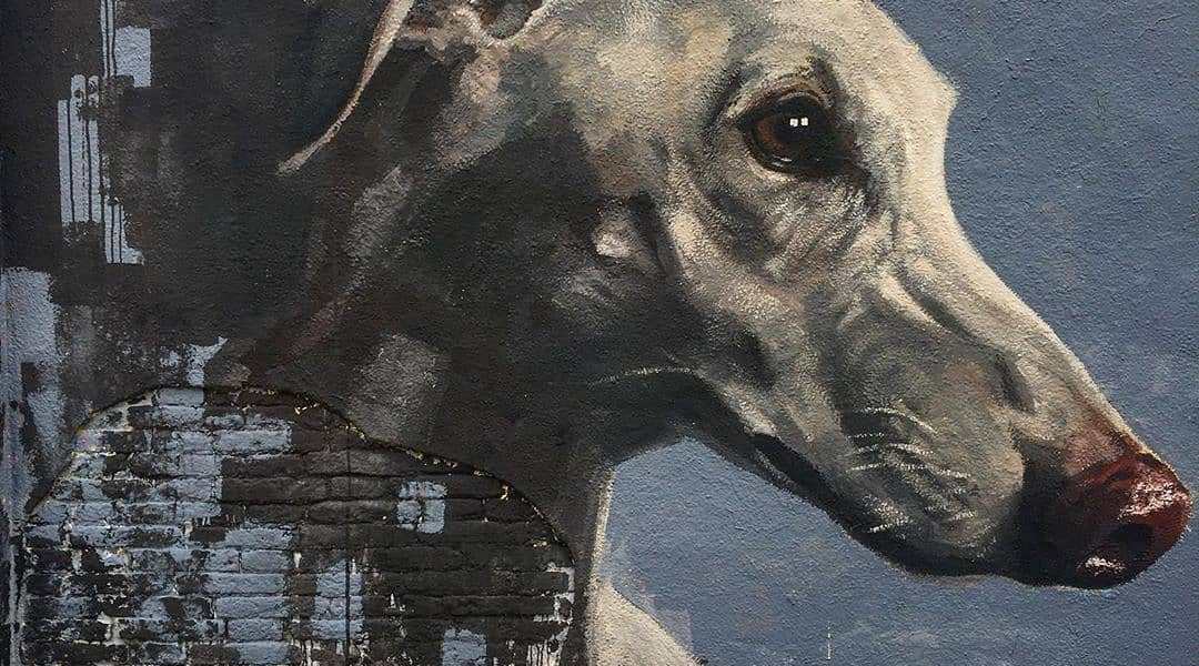 Sergi Bastida @ Barcelona, Spain