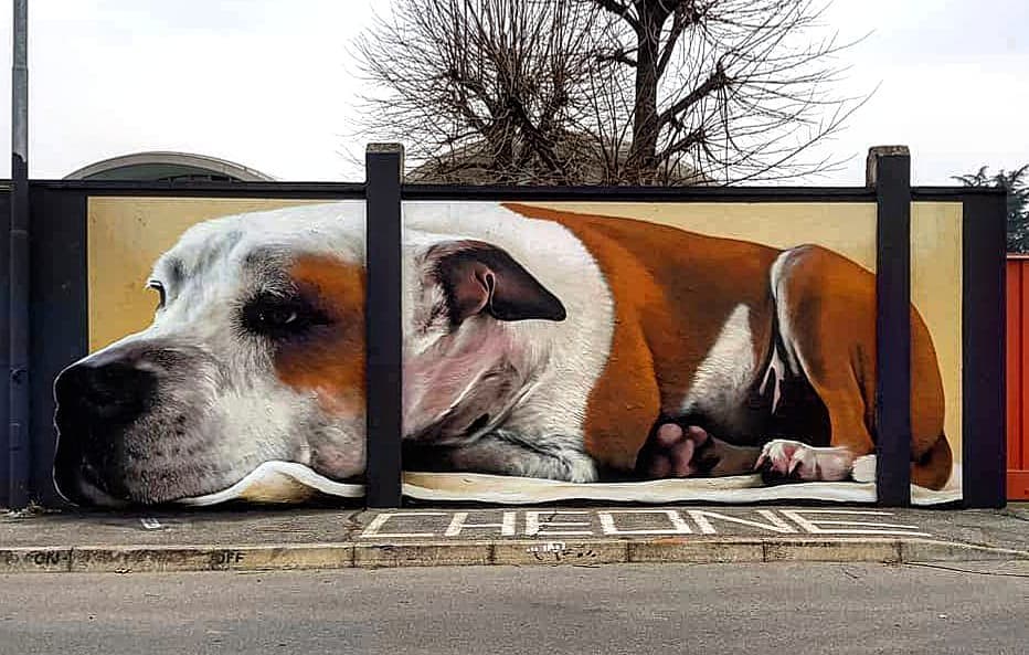 Cheone @ Nerviano, Italy