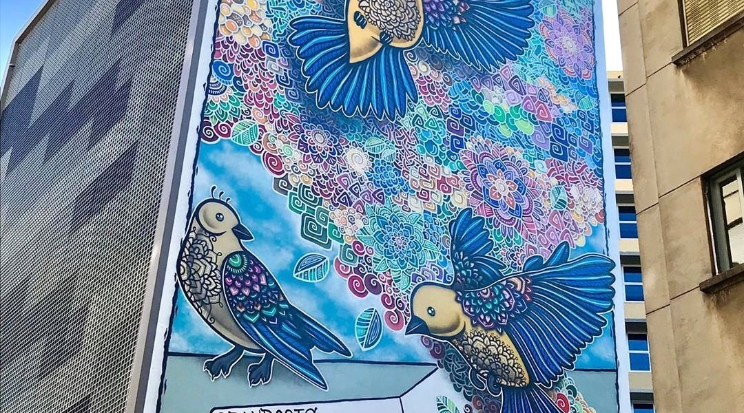 Danilo Roots @ Sao Paulo, Brazil