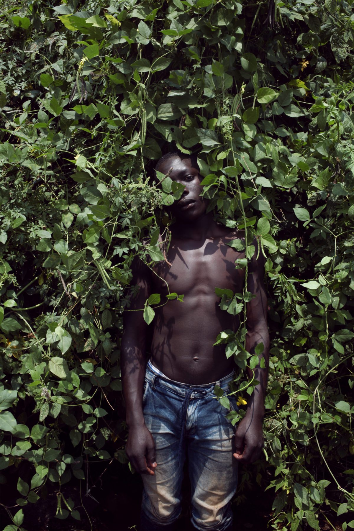 Denisse Ariana Perez