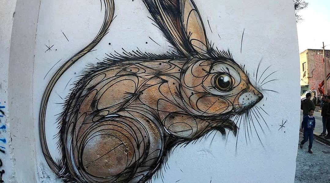 Dzia @ Tunis, Tunisia