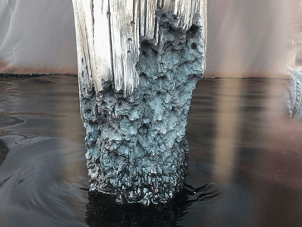 Fabio Viale @ Galleria Poggiali, Firenze