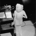 Marilyn Monroe singing Happy Birthday to President John F Kennedy from the stage at Madison Square Garden, three months before her death, 1962 Photograph: Courtesy of Monroe Gallery