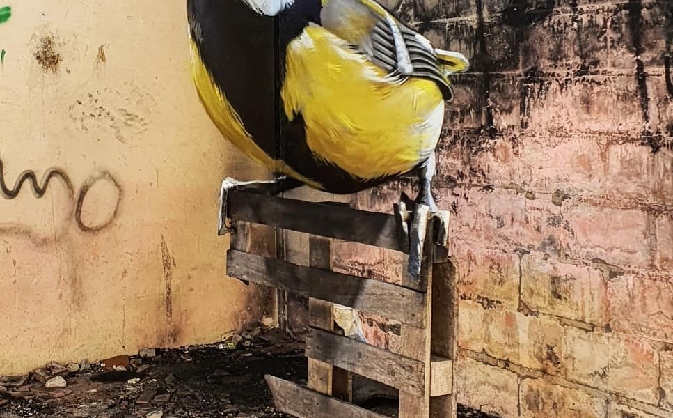 Odeith @ Lisbon, Portugal