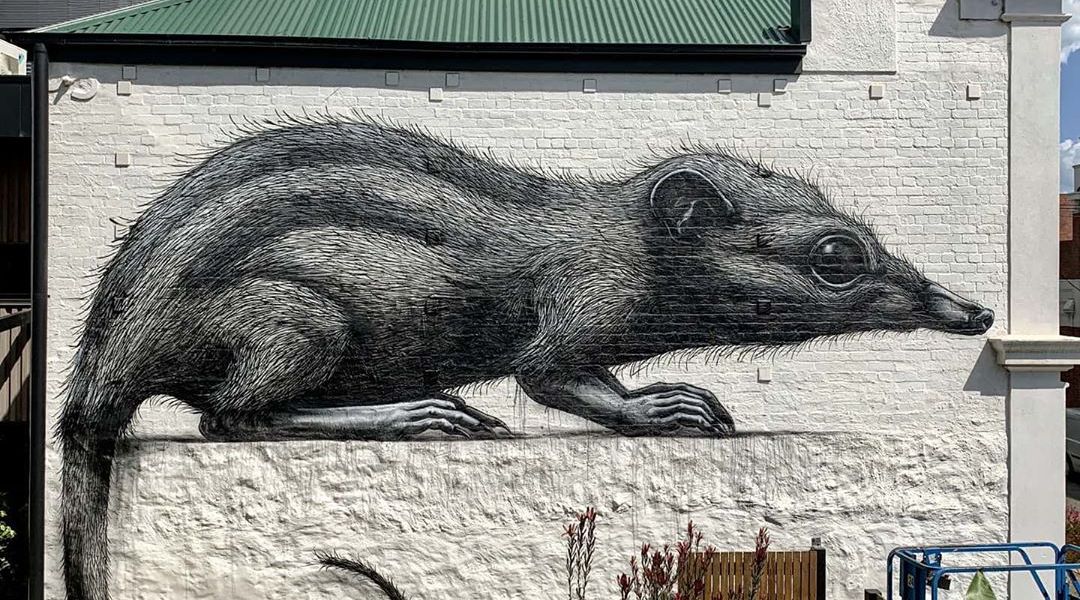 ROA @ Melbourne, Australia