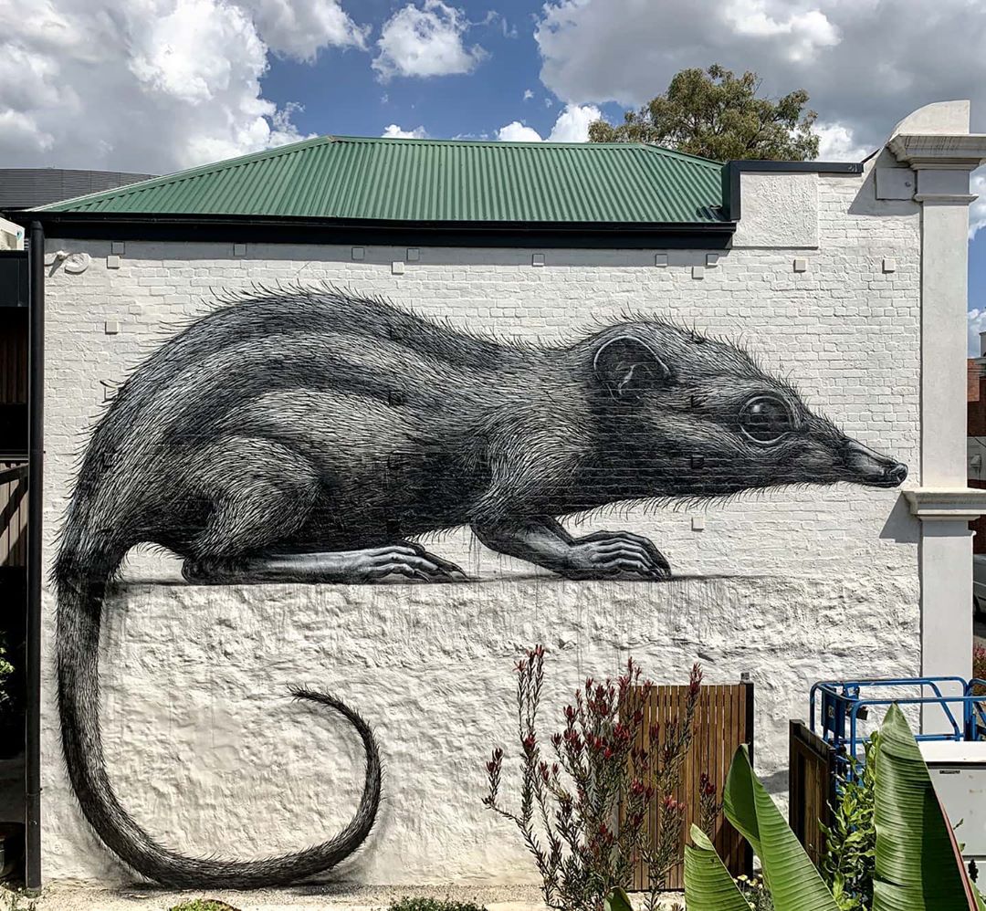 ROA @ Melbourne, Australia