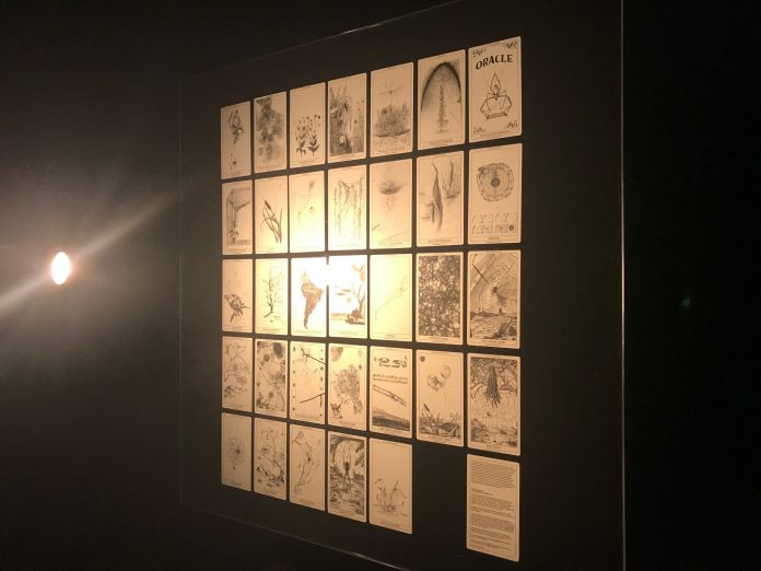 Tomás Saraceno, Aria, installation view, Palazzo Strozzi, 2020, ph SC, courtesy l’artista e Palazzo Strozzi