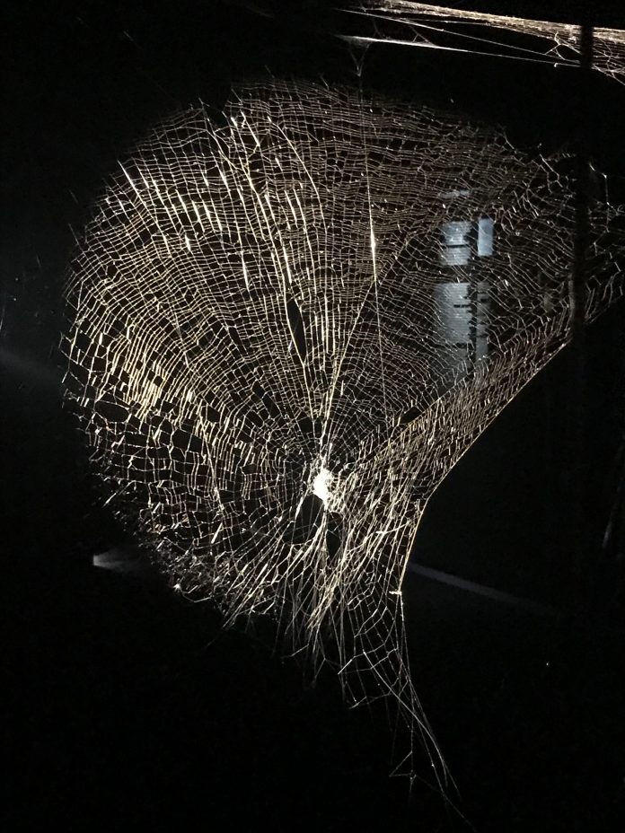 Tomás Saraceno, Aria, installation view, Palazzo Strozzi, 2020, ph SC, courtesy l’artista e Palazzo Strozzi