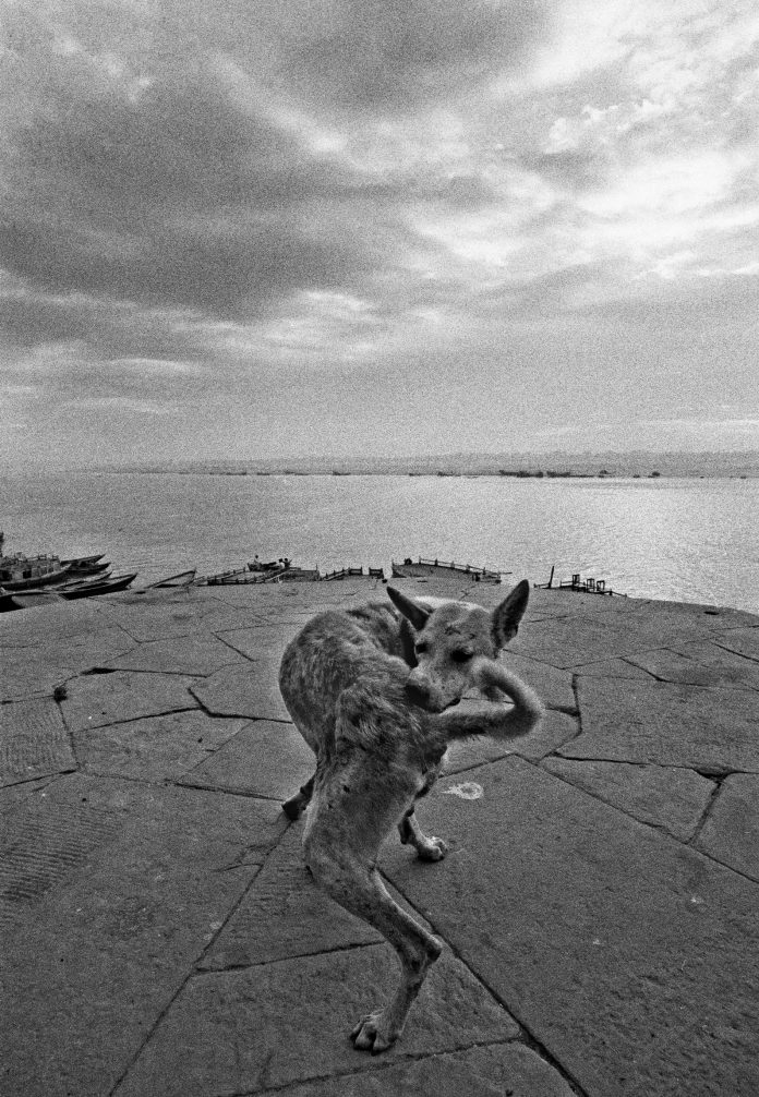 Varanasi, 1972 © Ferdinando Scianna