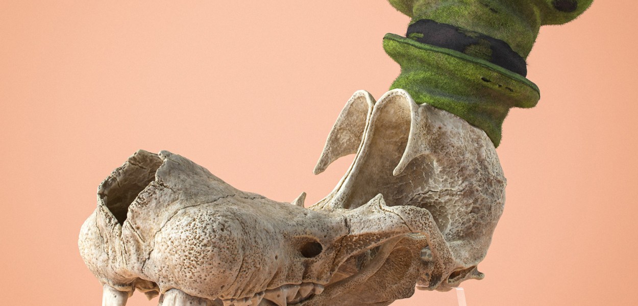 Canis Goofus – USA, 1932 by Filip Hodas