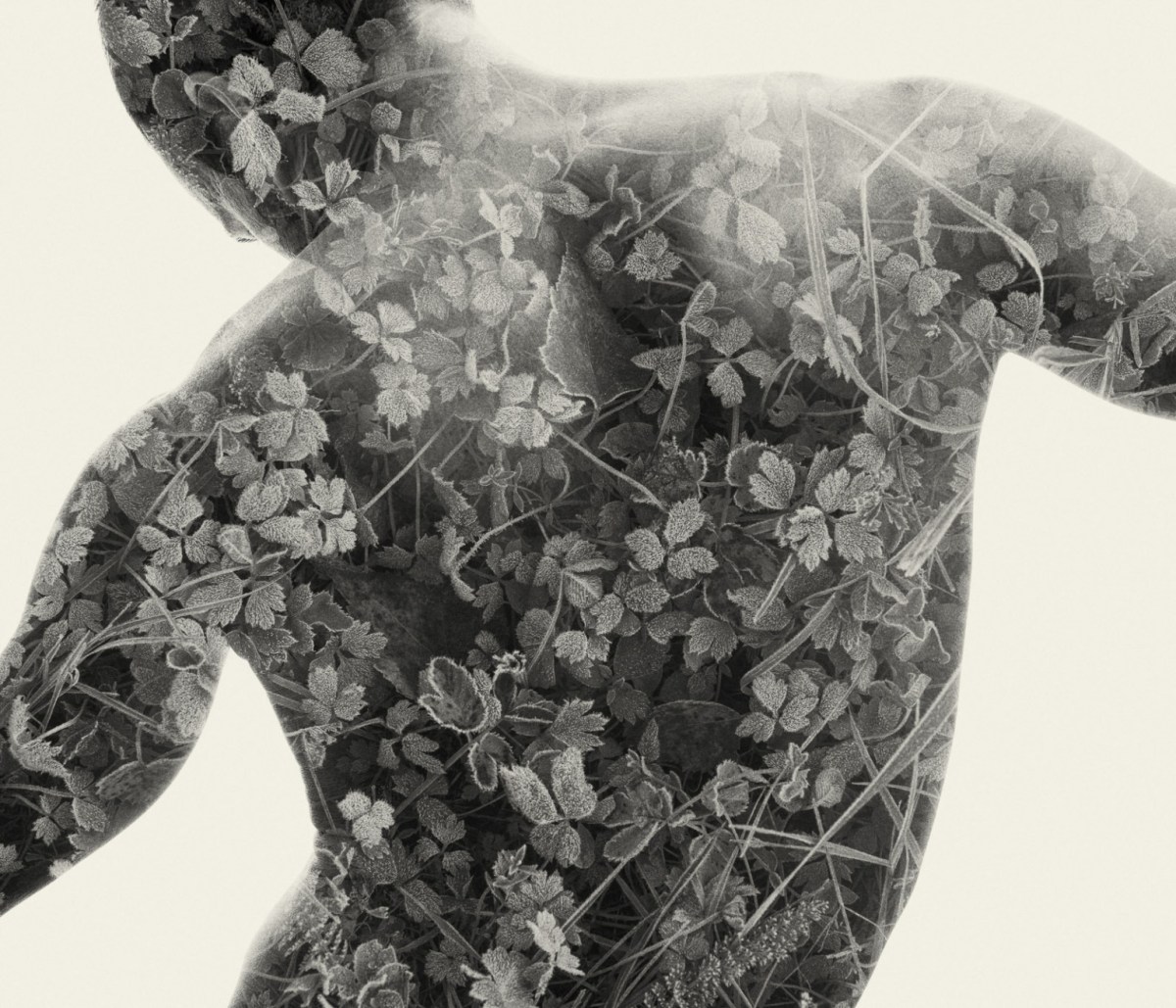 Christoffer Relander