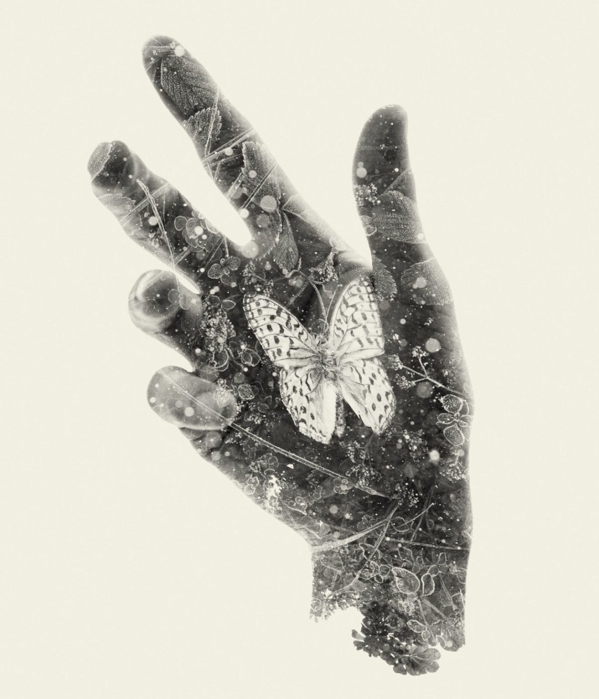 Christoffer Relander