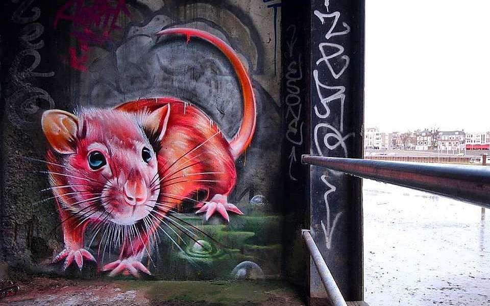 Dopie @ Arnhem, Netherlands