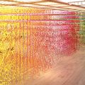 “Forest of Numbers” by Emmanuelle Moureaux