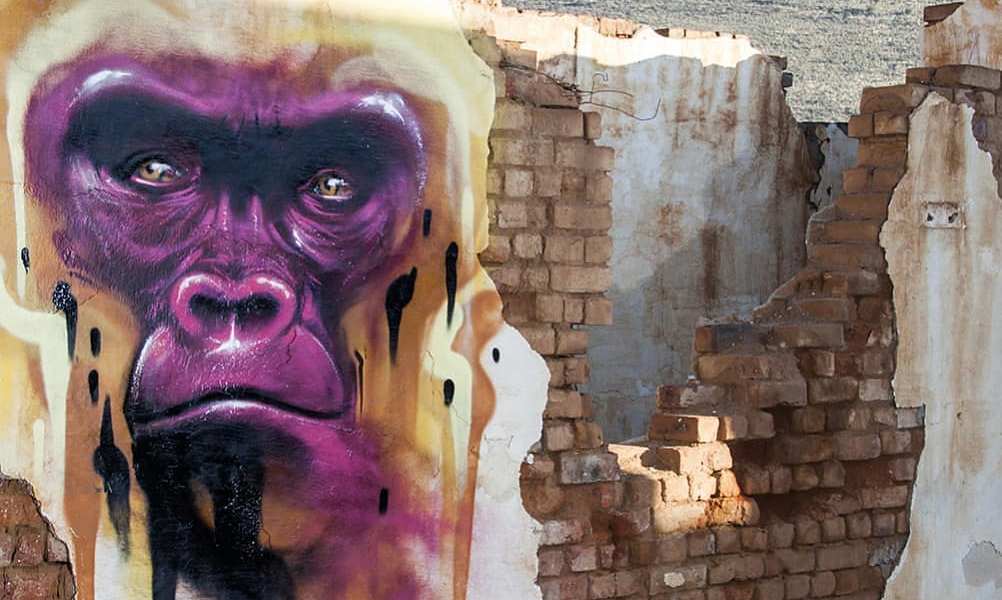 Falko one @ Victoria West, South Africa