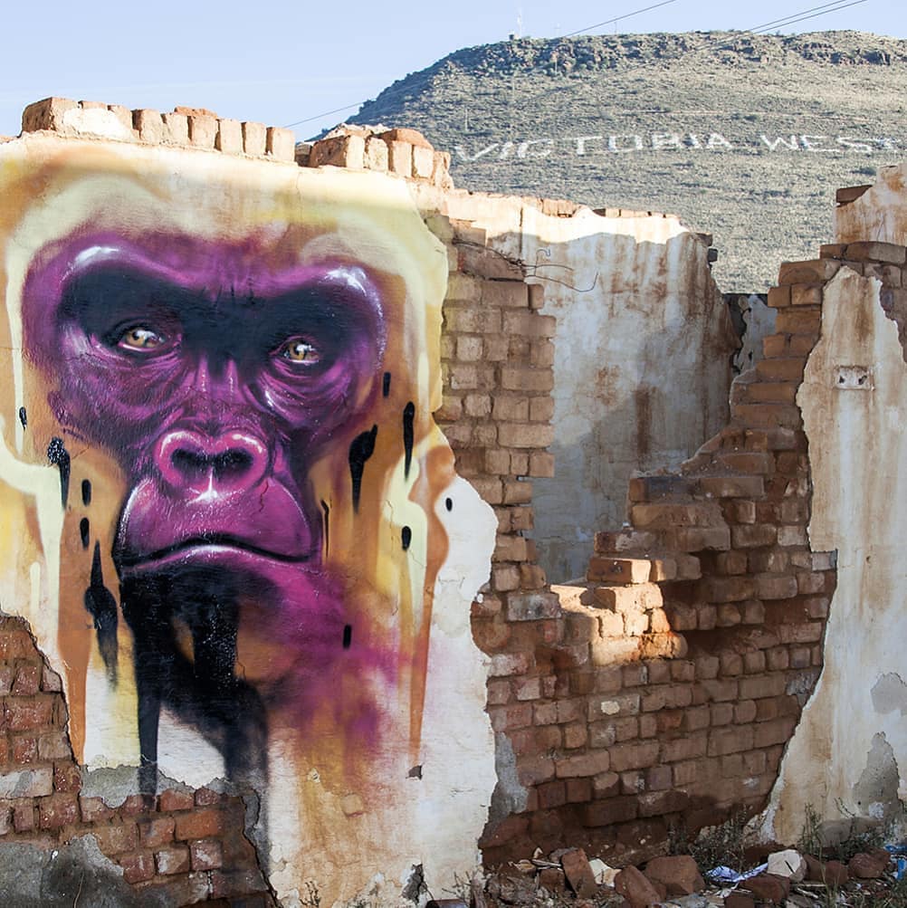 Falko one @ Victoria West, South Africa