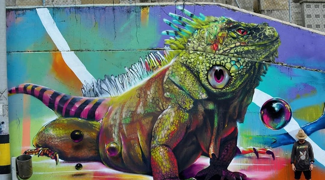 Gris One @ Medellin, Colombia