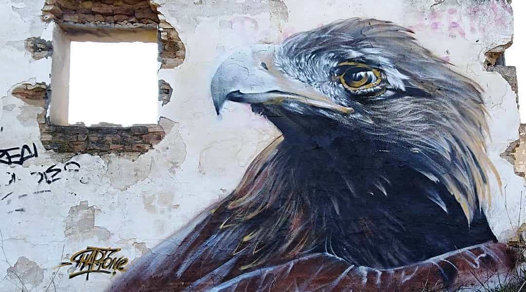 Harfo @ Seville, Spain