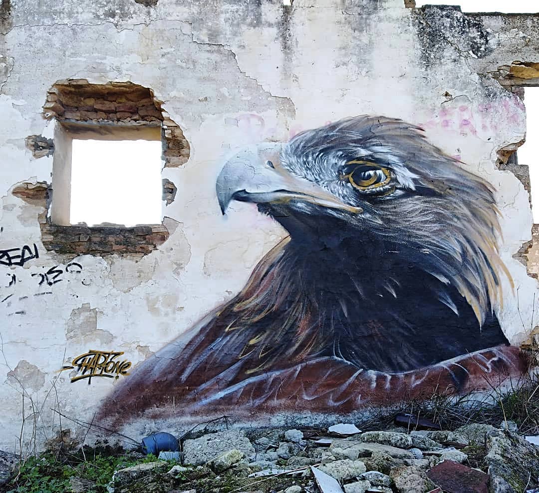 Harfo @ Seville, Spain